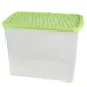 Belli e Forti Box Marea 67L plastica resistente – 57x39x42 cm