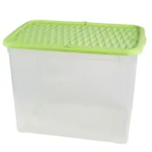 Belli e Forti Box Marea 67L plastica resistente – 57x39x42 cm