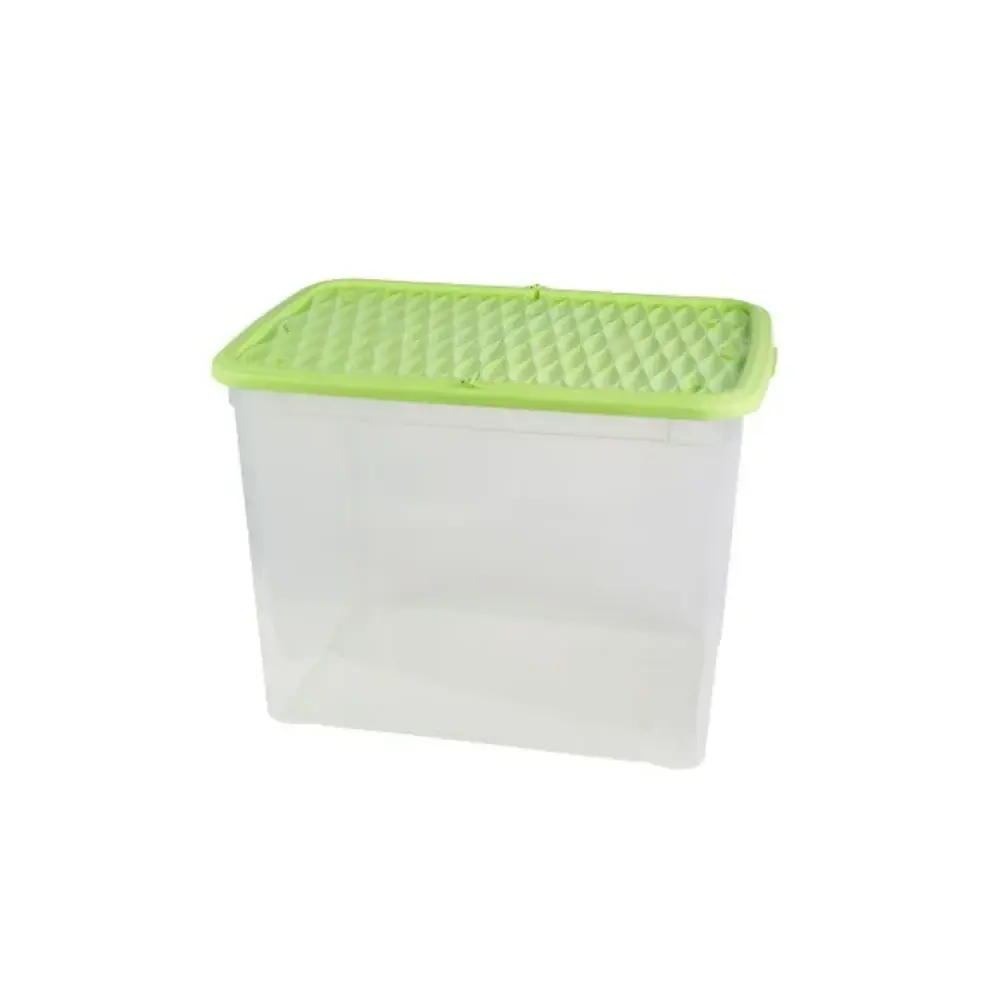 Belli e Forti Box Marea 67L plastica resistente – 57x39x42 cm