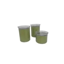Guzzini Chef Line Set 3 Barattoli Verde con Coperchi Ermetici