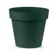VECA Vaso Cleo 30cm Verde Scuro – Elegante vaso di 30 cm