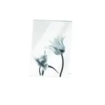 Cornice Doppia 13x18 A1153 Mascagni