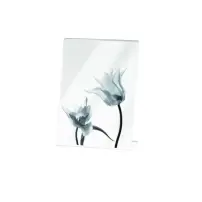 Cornice Doppia 13x18 A1153 Mascagni
