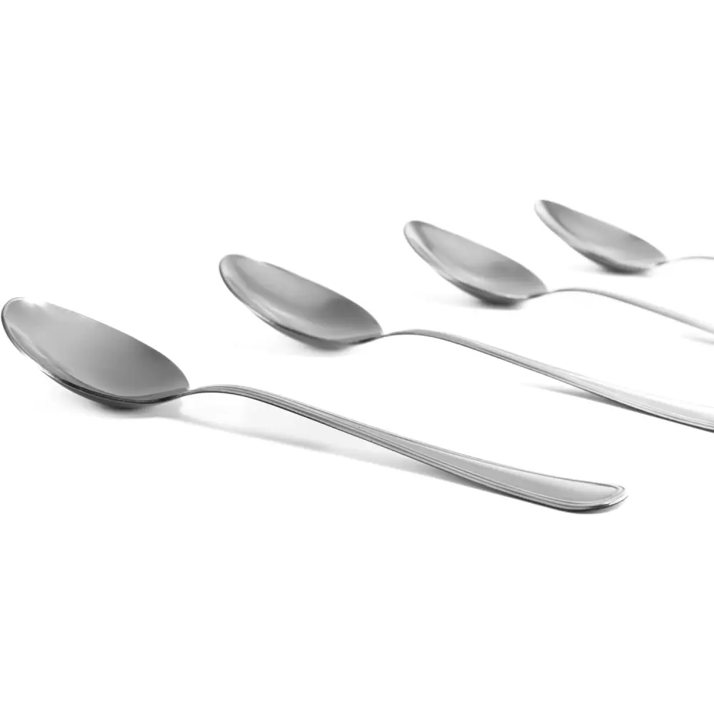 Set 12 Cucchiai Leonardo Zanetti inox 18/C