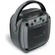 Cassa Wireless con Microfono 16,5×12,5×7,3 cm – Karaoke per… Bontempi