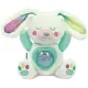 Fiocco Proiettore Aurora Boreale Peluche Lepre Artica Clementoni