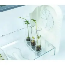 La Mia Serra Hi-Tech – Scientifico di Botanica per 8-12… Clementoni