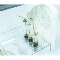 hover-image