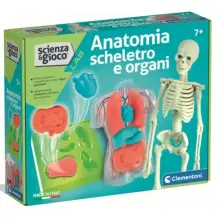 Scienza e Gioco Anatomia – Scheletro e Organi da Assemblare Clementoni