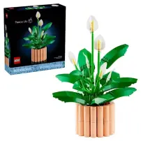 LEGO Botanicals 11504 Spatifillo