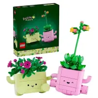 LEGO Botanicals 11506 Piante Dondolanti