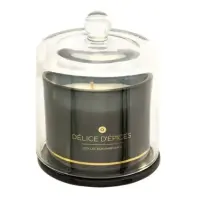 Candela Profumata ILAE Spice Delight 240 g con Campana in Vetro Atmosp