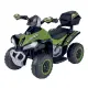 Quad Elettrico Verde 8V con Bluetooth Globo