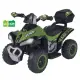 Quad Elettrico Verde 8V con Bluetooth Globo