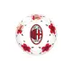 Pallone Milan Mondo