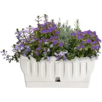 hover-image