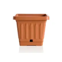 hover-image