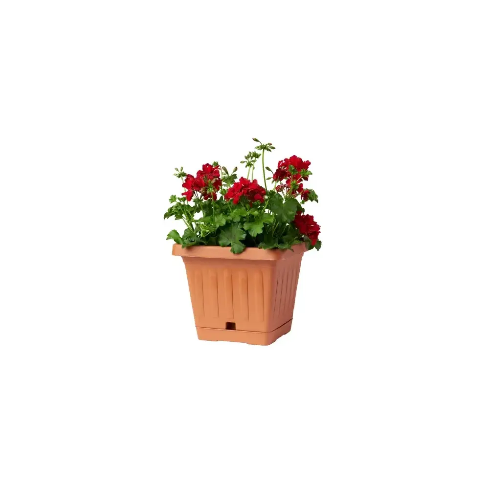 Vaso Terra Quadrato 20x20 Terracotta Bama