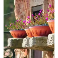 hover-image