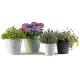 Vaso Onda 20cm Salvia Bama