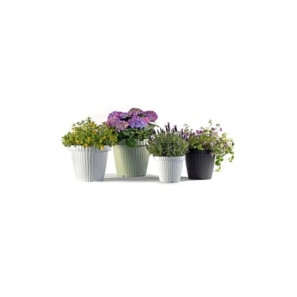 Vaso Onda 20cm Salvia Bama