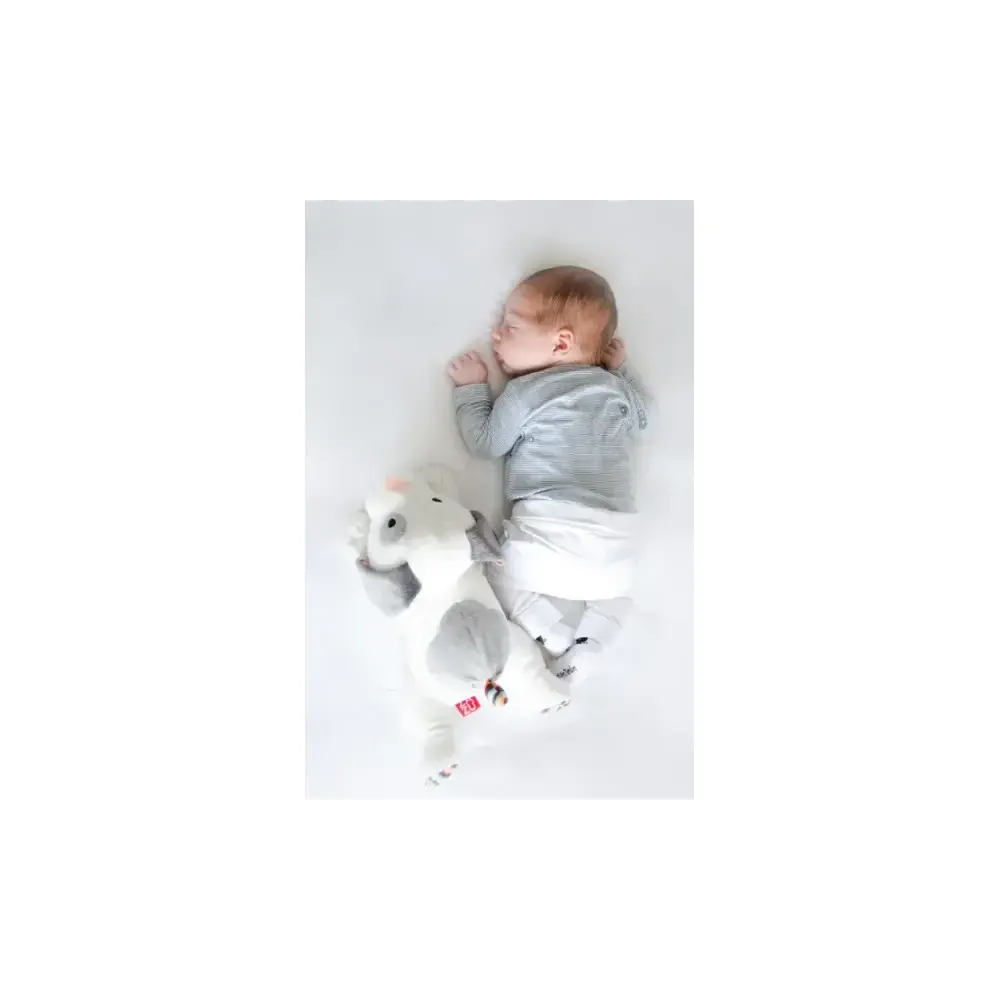Zazu Dex Peluche Compagno Sonno Sonoro Mandelli