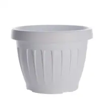 hover-image