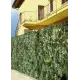Siepe Artificiale Edera 100x300 cm Privacy