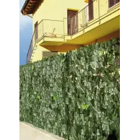 hover-image