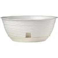 Ciotola Paglia Panna con Sottovaso Vaso per Piante in Plastica Bama