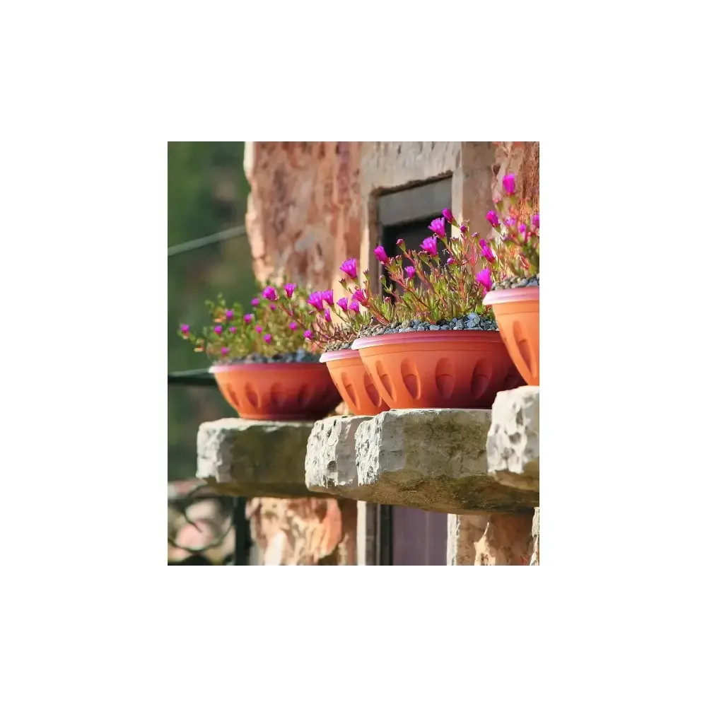 Ciotola Alba Terracotta con Sottovaso Vaso per Piante Moderna Bama