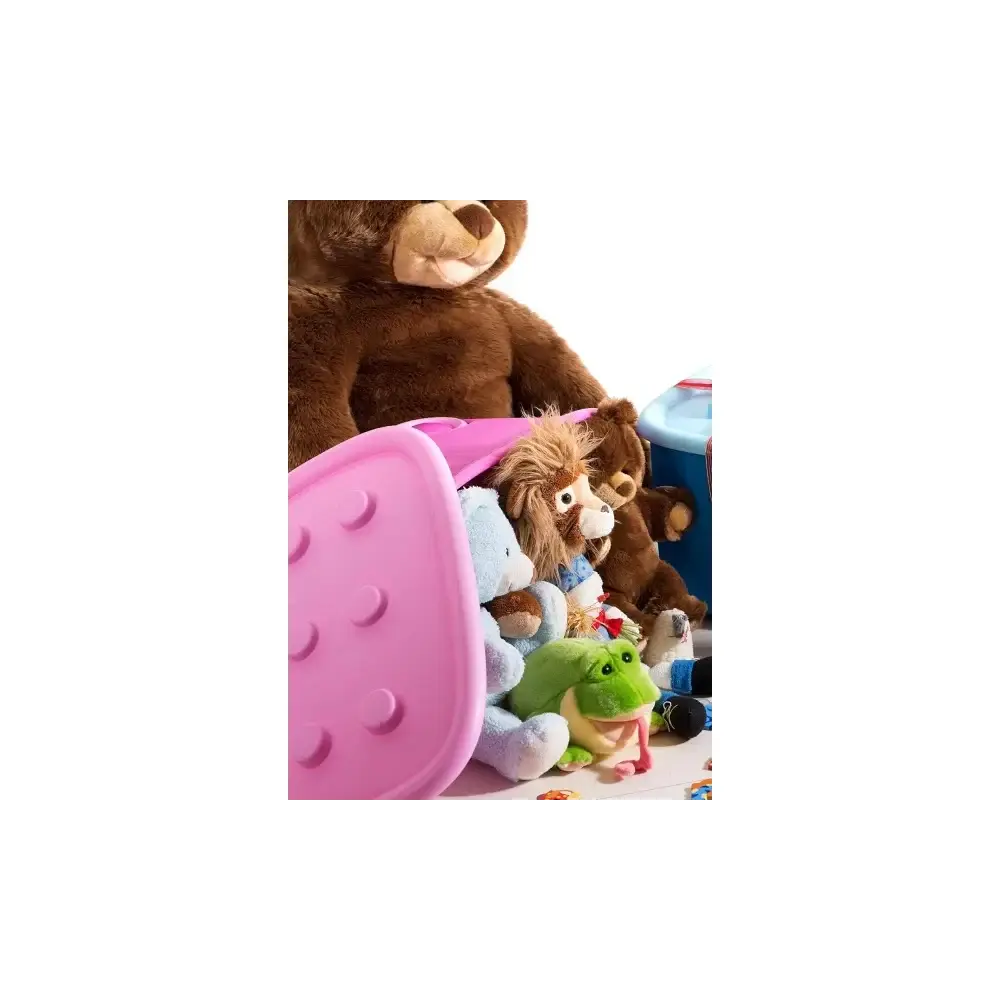 Contenitore Funny Box Rosa 58x38,5x32cm Keter