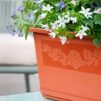 hover-image