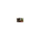Toast & Grill Slim Griglia Elettrica Piastra Rigata Ariete