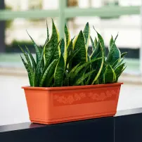 fioriera bama 60 cm