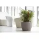 Vaso Conca Hera Ciotola Resina Cenere Vaso Tondo Design Moderno Nicoli