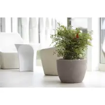 Vaso Conca Hera Ciotola Resina Cenere Vaso Tondo Design Moderno Nicoli