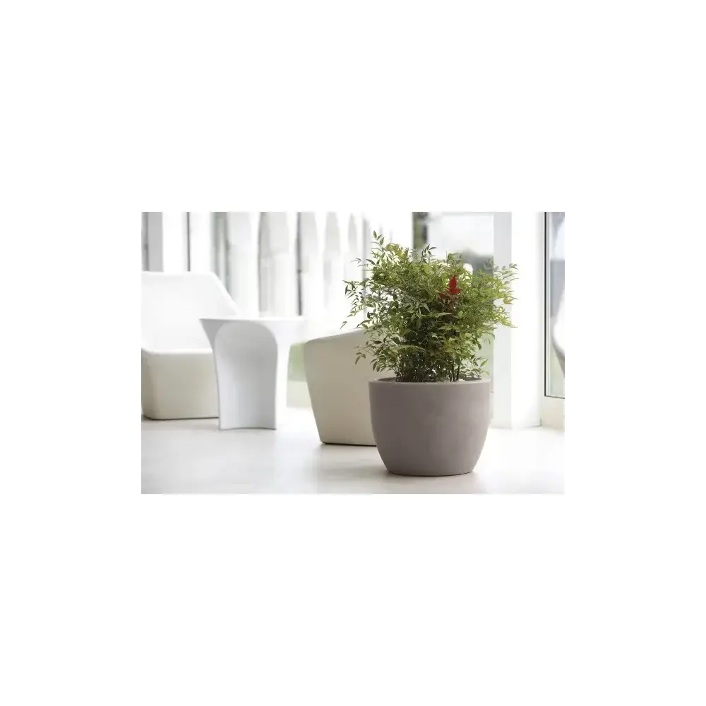 Vaso Conca Hera Ciotola Resina Cenere Vaso Tondo Design Moderno Nicoli