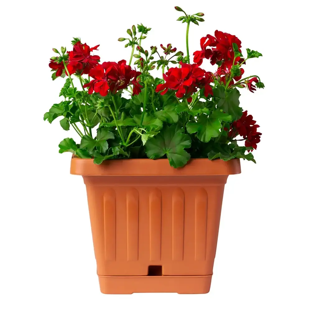 Vaso Quadrato Linea Terra Bama 30x30 cm