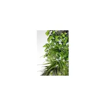Parete Sintetica Verde 100x100 Bizzotto Arredo Esterno