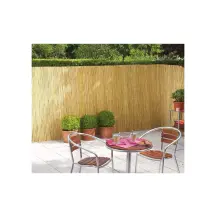 Arella Bambù Pelato Ø6 mm 1,5x3 m VerdeLook | Generoso Casalinghi