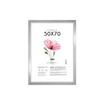 Cornice 50x70 cm Argento Lupia | Generoso Casalinghi