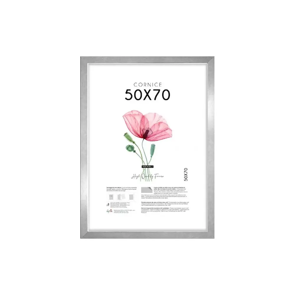 Cornice 50x70 cm Argento Lupia | Generoso Casalinghi