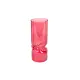 Vaso in Vetro Burgundy 10x25 cm New Bi