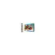 Kit Monster Truck Hot Wheels da Costruire | Generoso Casalinghi