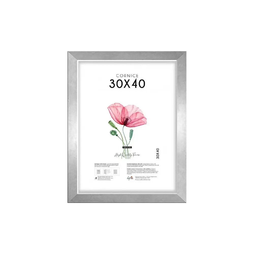 Cornice Quadra 30x40 Argento Lupia | Generoso Casalinghi