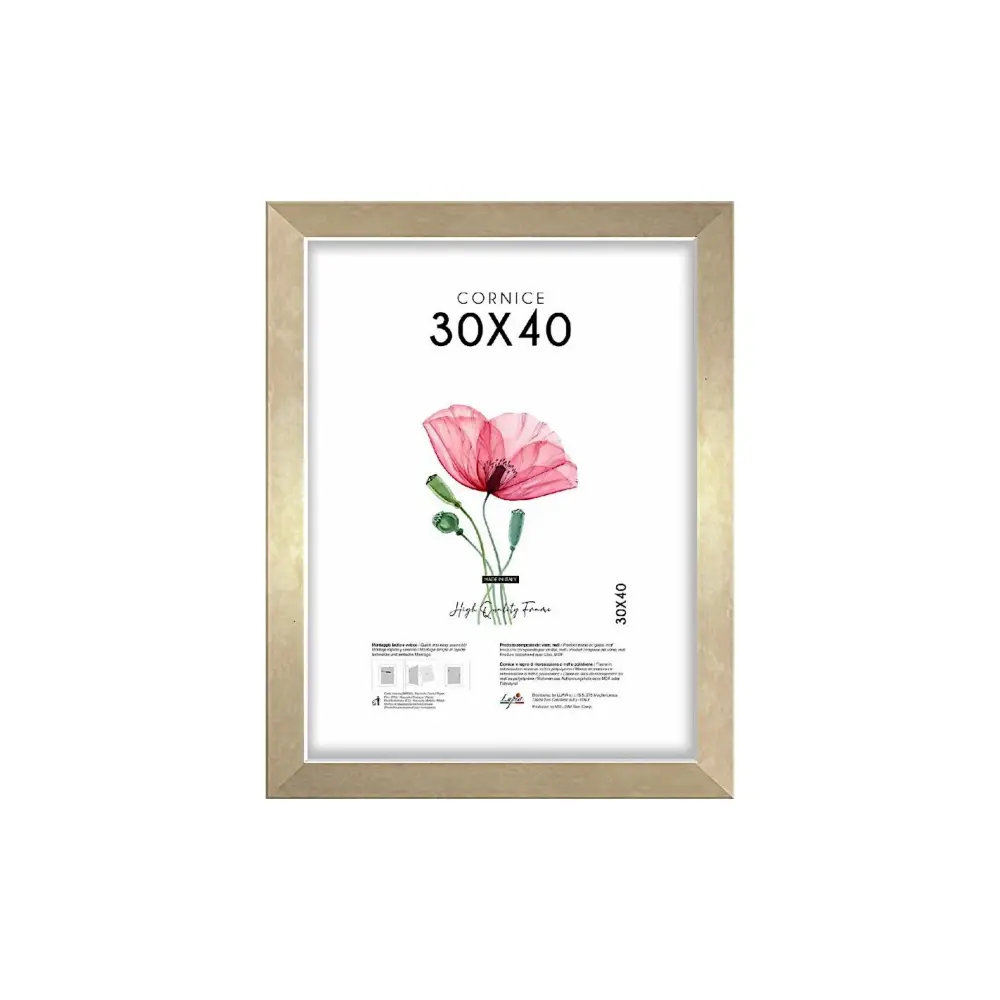 Cornice Quadra 30x40 Oro Lupia | Generoso Casalinghi