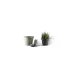 Vaso Onda Bama 50 cm Salvia | Generoso Casalinghi