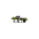 Vaso Onda Bama 50 cm Salvia | Generoso Casalinghi