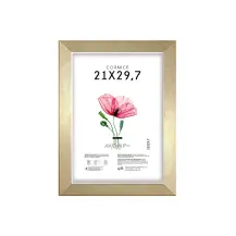Cornice Quadra Lupia 21x29,7 cm Oro